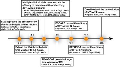 Imaging Acute Stroke: From One-Size-Fit-All to Biomarkers